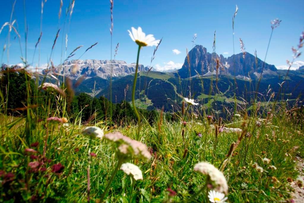 Garni Hotel Bel Vert Selva di Val Gardena Ngoại thất bức ảnh